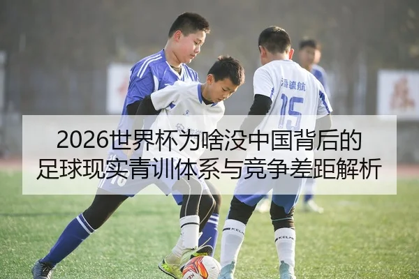 2026世界杯为啥没中国背后的足球现实青训体系与竞争差距解析